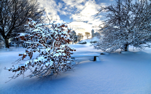 780446 (a): :2560x1600